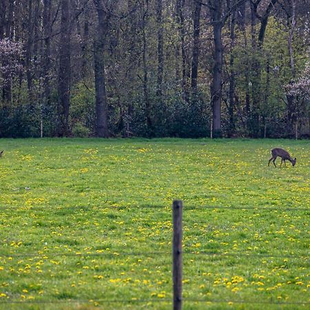 Villa Tranquility Farm Dalfsen Exterior foto