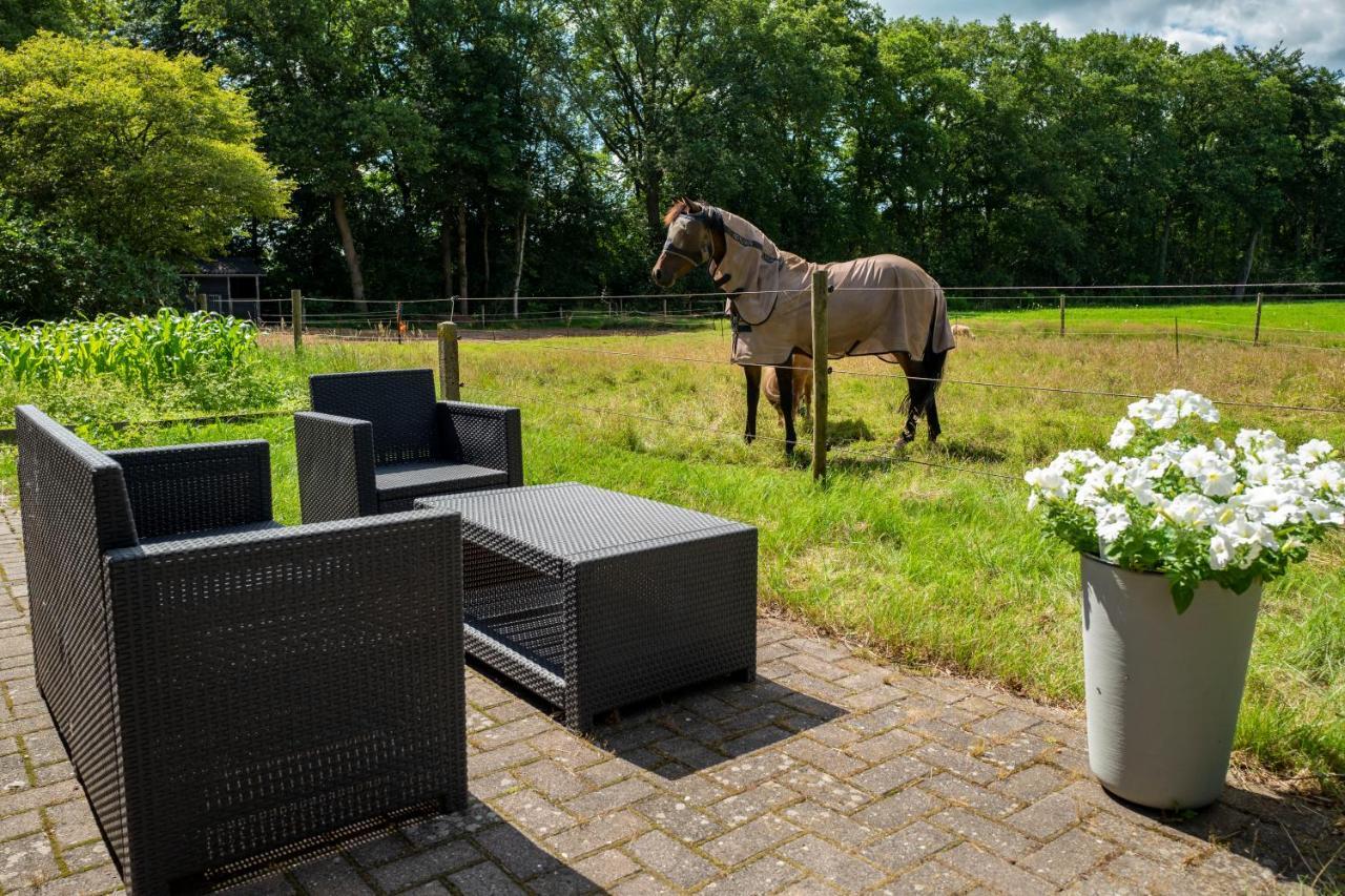 Villa Tranquility Farm Dalfsen Exterior foto