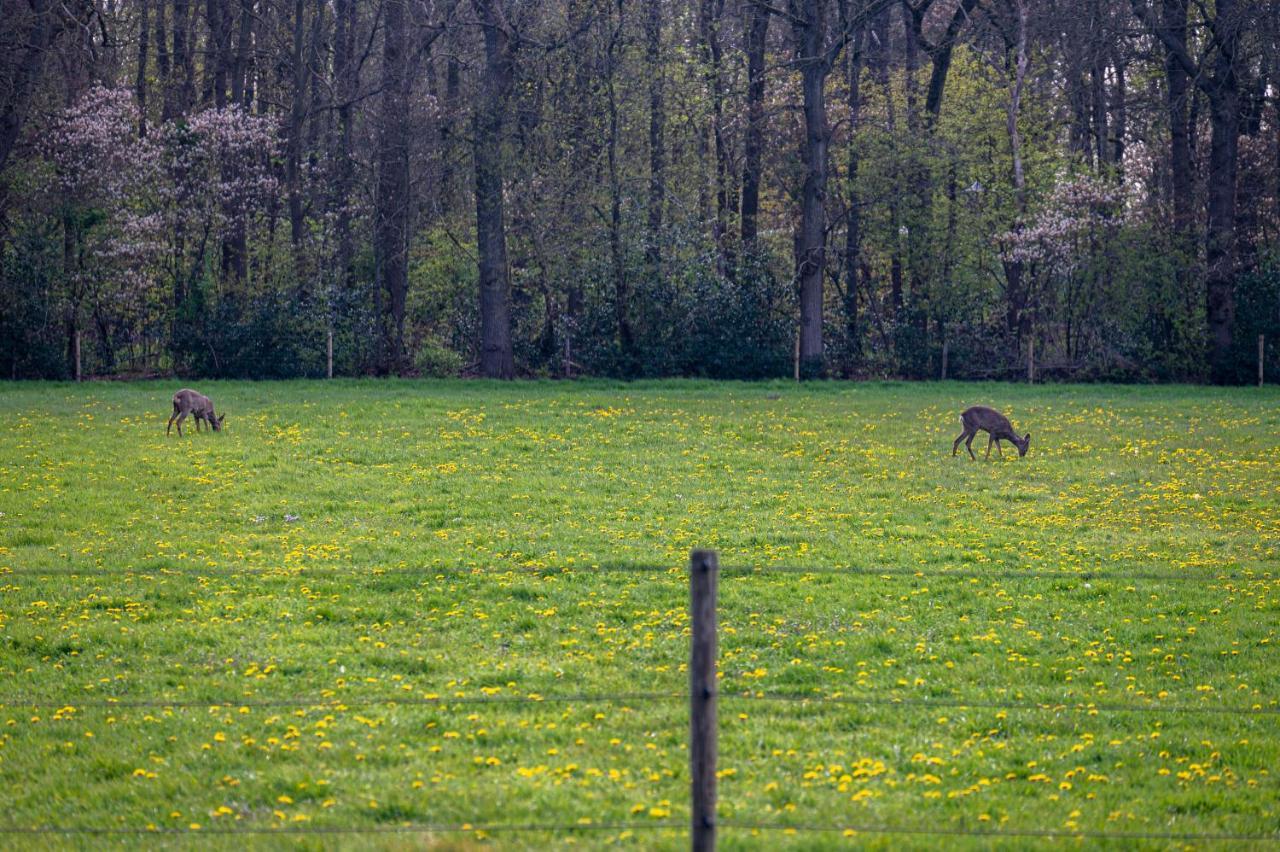 Villa Tranquility Farm Dalfsen Exterior foto